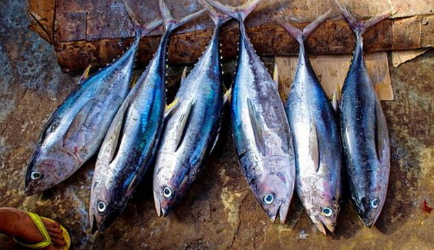 Mangiano i tonni auto-pescati crudi e si sentono male al ristorante
