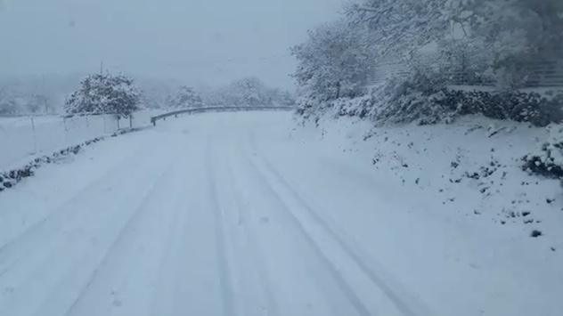 Neve in Ogliastra, disagi per allevamenti: furgoni trasportano foraggio per gli animali