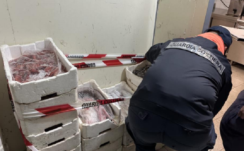 Pesca abusiva ad Alghero: 85 kg di prodotto ittico sequestrati