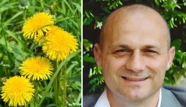 Tragedia in provincia di Lecco: esperto di piante mangia un fiore velenoso e muore