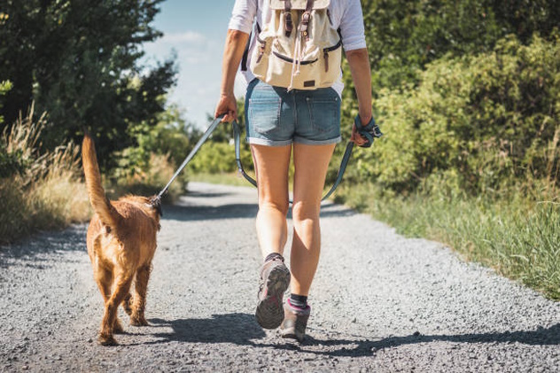 A passeggio con il cane per riscoprire se stessi e la natura