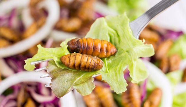 Eurispes, insetti nel piatto? 82% italiani non propenso ad assaggiarli
