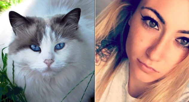 Il gatto di Giulia Tramontano è stato adottato dai vicini di casa