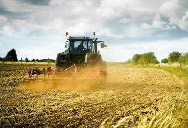 Agricoltura: cambiamenti climatici e uso del suolo, da Fondazione Cariplo nuovo bando