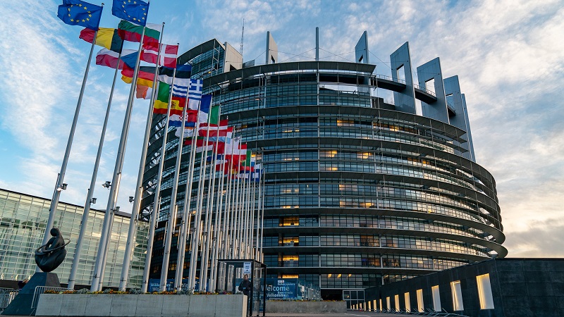 Legge ripristino natura, via libera del Parlamento europeo: cos'è e cosa prevede