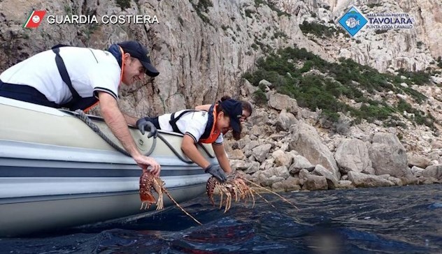 Vongole e aragoste senza etichette sequestrate al porto di Olbia 