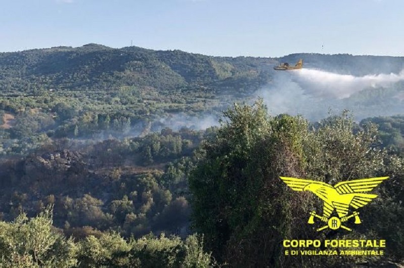 Sardegna in fiamme: oggi 17 incendi, Canadair vola a Bari Sardo