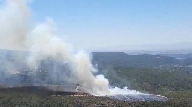 Oggi in Sardegna ben 16 incendi, quattro interventi aerei del Corpo forestale