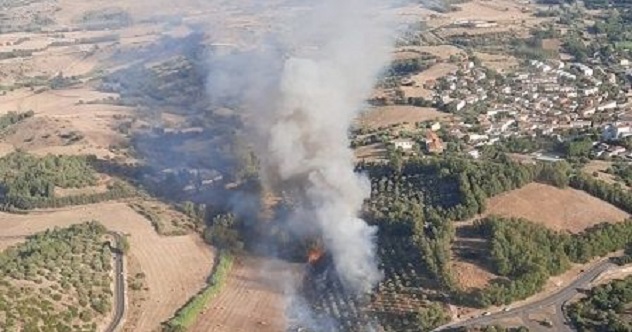 Sedici incendi oggi in Sardegna. Super Puma ad Ales dove avanzano le fiamme