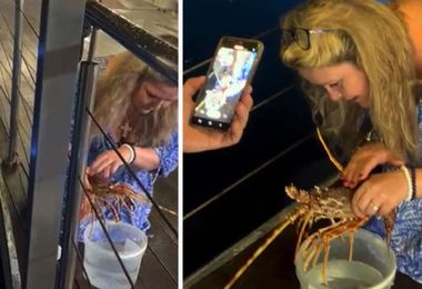 Turista compra aragosta in un ristorante a Golfo Aranci per liberarla in mare 