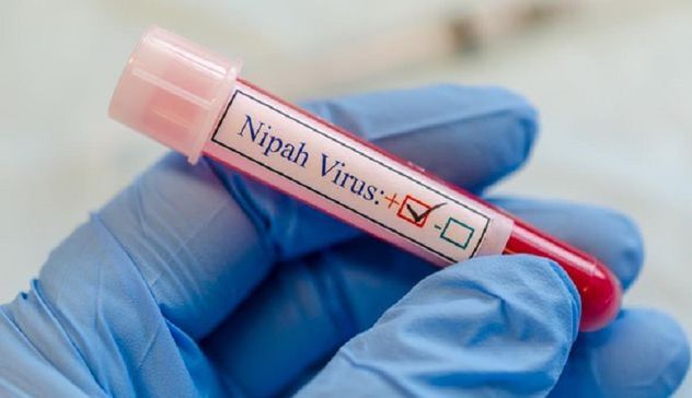 Allarme in India per il virus Nipah: cos'è