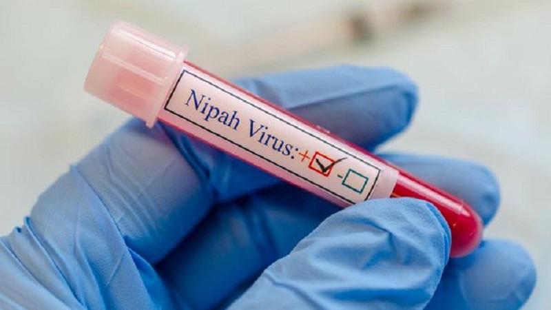 Allarme in India per il virus Nipah: cos'è