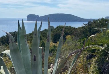 Tutela delle bellezze naturali a Punta Giglio: la Costituente per Sassari appoggia la richiesta di sospensione dei lavori