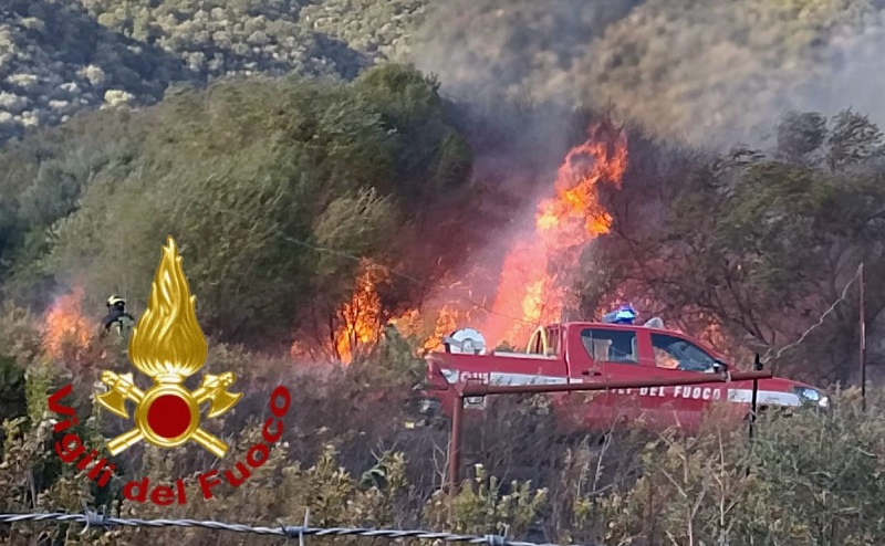 Incendio nella periferia di Olbia: intervengono i Vigili del fuoco 