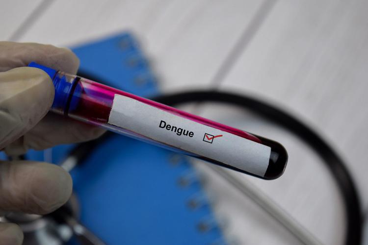 Dengue: Iss, 306 casi da inizio anno, autoctoni salgono a 72