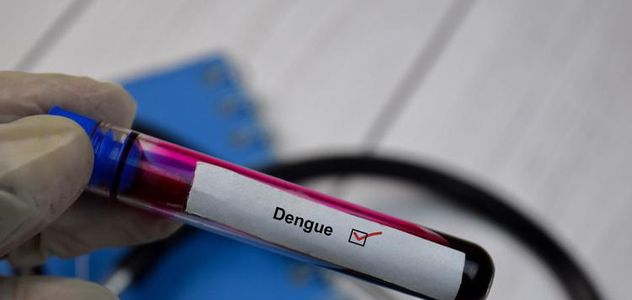 Dengue: Iss, 306 casi da inizio anno, autoctoni salgono a 72