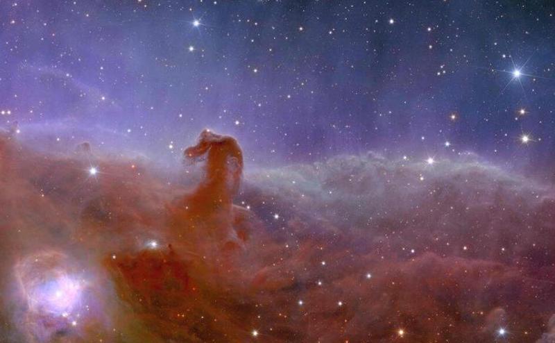 Le prime immagini dell'Universo oscuro e lontano: scattate da Euclid