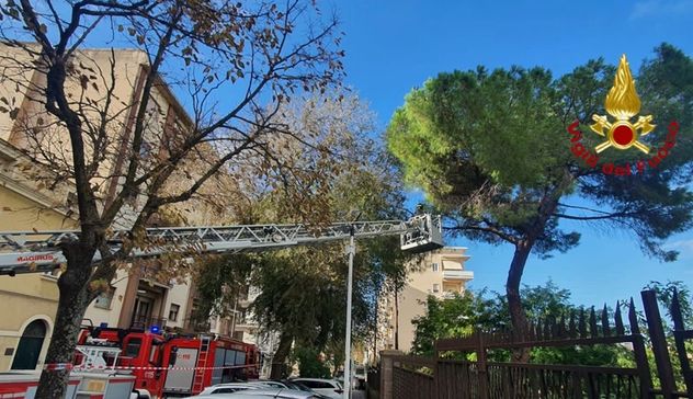 Pino pericolante a Sassari, intervengono i Vigili del fuoco