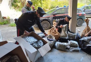 Decine di chili di marijuana:  i carabinieri di Siniscola arrestano due persone