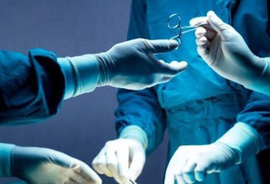 Trapianti, seconda paziente riceve rene maiale negli Usa, operata anche al cuore