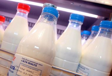 Aviaria in Usa nuovi controlli su latte e derivati, 'no virus vivi e infettivi'