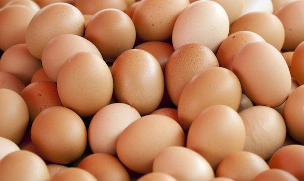 Allerta Fipronil:nessuna traccia nelle uova prodotte in Sardegna