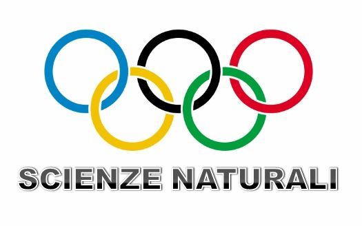 Olimpiadi delle Scienze Naturali: tra i vincitori due studenti del Liceo scientifico 