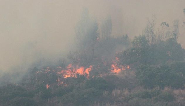 Villanovaforru. Piromani in azione, bruciati 10 ettari di bosco