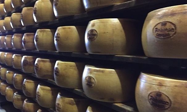 La 3A presenta il Gran Campidano, il formaggio prodotto con solo latte sardo nel grande mercato di Grana e Parmigiano