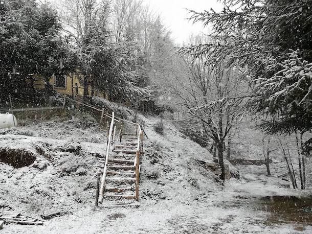 Nevica sui monti della Sardegna: ecco il video e le foto