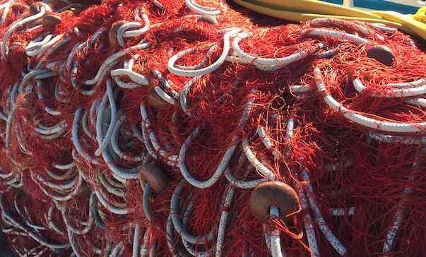 Tutela della pesca nel Mediterraneo: otto Paesi a confronto