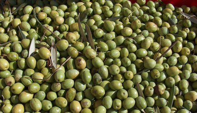 Nella crema antirughe di Chanel il potere antietà delle olive di Sardegna