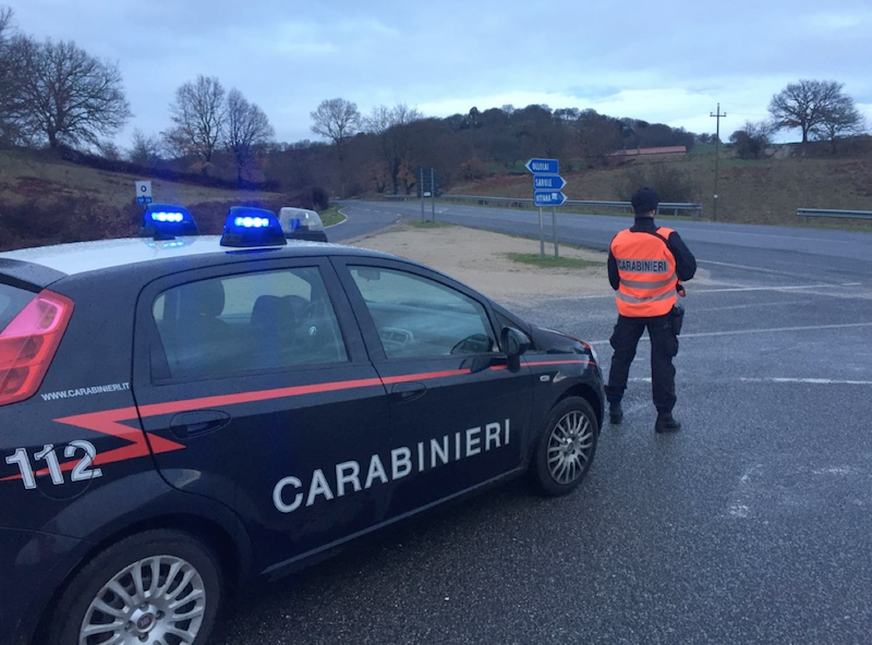I Carabinieri sequestrano due fucili e denunciano padre e figlio