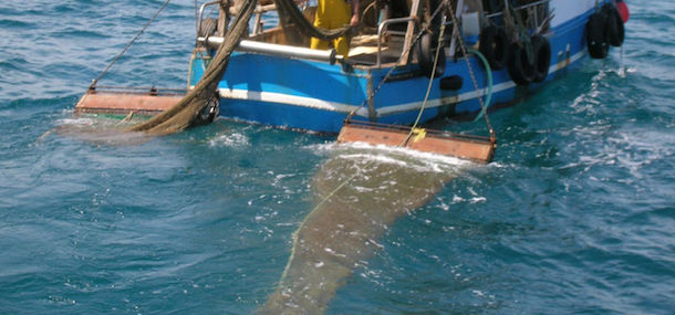 Truffa sugli indennizzi per il fermo pesca: denunciata una 29enne