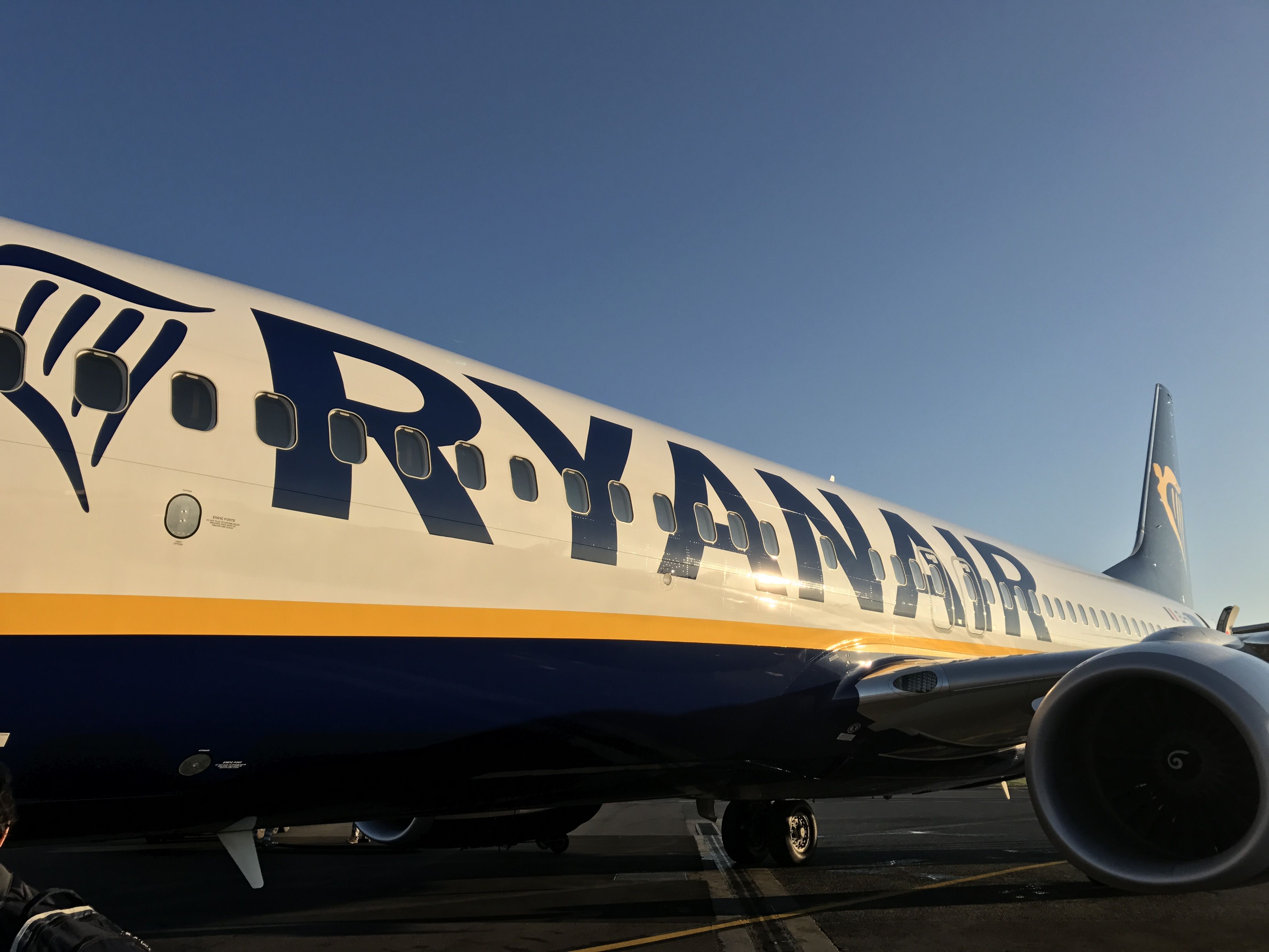 Biglietti Ryanair gratis. L'amministratore delegato della compagnia aerea lancia la rivoluzionaria proposta