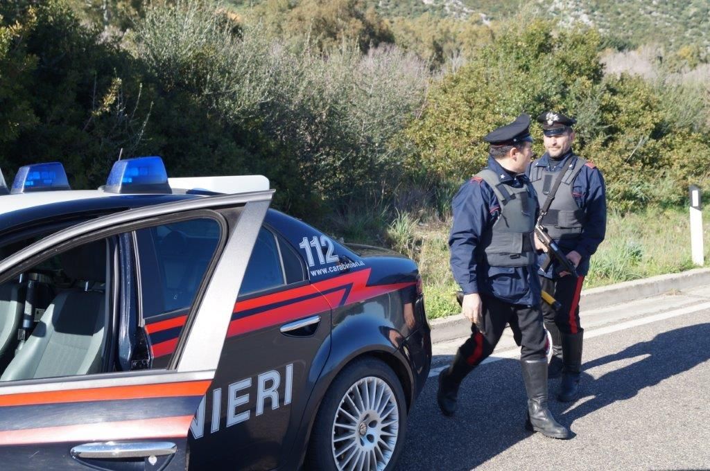 Scoperta piantagione di marijuana, padre e figlio fermati dai Carabinieri 