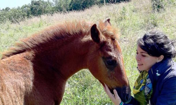 Ragazza di 23 anni cade da cavallo e muore. Era considerata un talento dell'endurance equestre