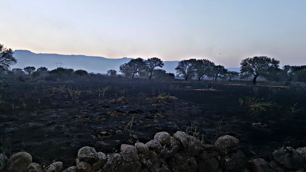 Incendio a Sedilo e nel centro Sardegna. Il bilancio è drammatico