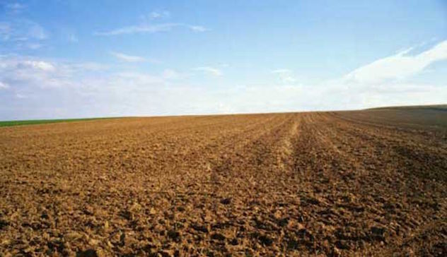 Agricoltura, terreni ai giovani: la Regione mette a disposizione 700 ettari