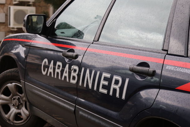 I Carabinieri sequestrano due piantagioni di canapa indiana