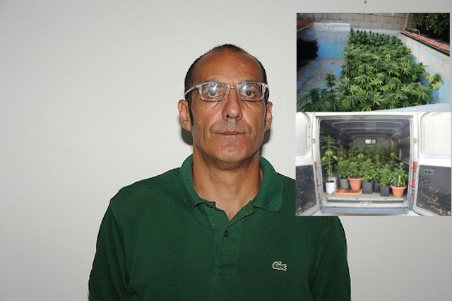 Coltiva 113 piante di marijuana: arrestato 46enne