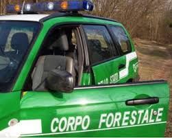 Cagliari, operazione anticrimine del Corpo Forestale