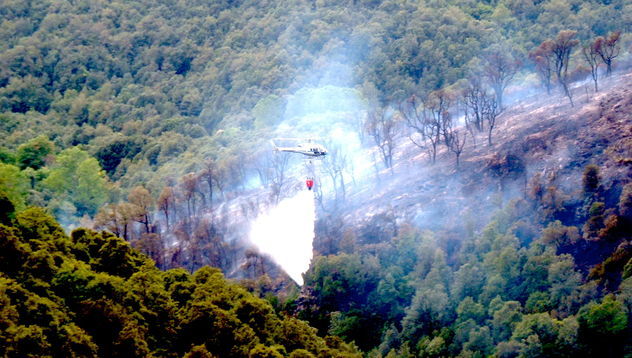 Tonara. Dieci ettari di bosco in fumo nel cuore del Gennargentu
