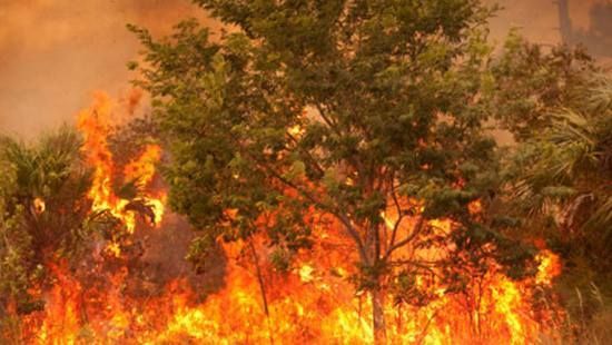Ancora fiamme e distruzione: incendi divampati a Villaputzu e Portoscuso