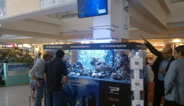 Cala Gonone. Investimento promozionale all'Aeroporto Costa Smeralda: un grande acquario è stato posizionato nello scalo gallurese