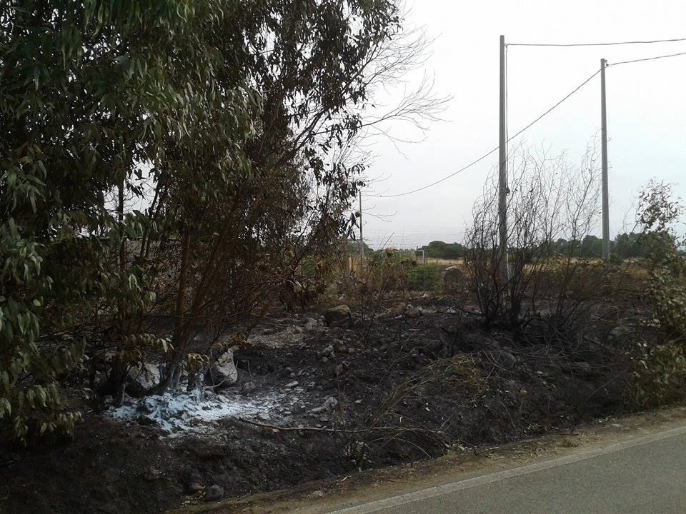Incendi in Sardegna. I carabinieri arrestano imprenditore di 31 anni di Zerfaliu, avrebbe innescato diversi incendi alle porte del paese