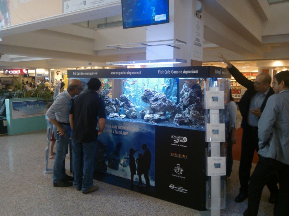 Cala Gonone. Investimento promozionale all'Aeroporto Costa Smeralda: un grande acquario è stato posizionato nello scalo gallurese