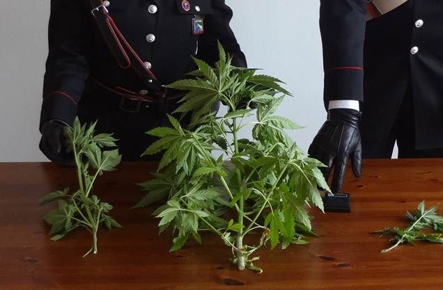 Sant'Antioco. I carabinieri arrestano un giovane di 27 anni per spaccio di sostanze stupefacenti