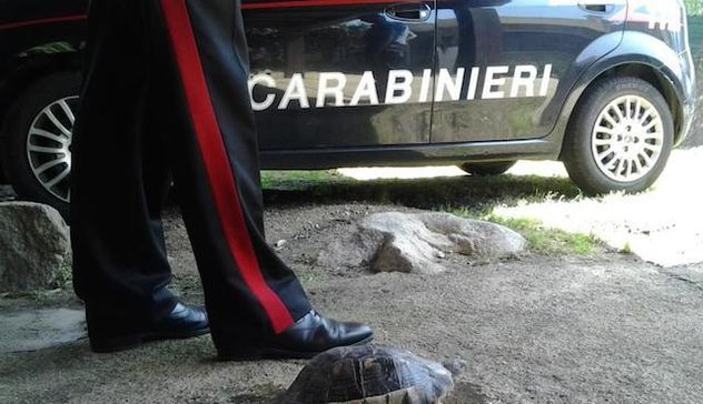 Porto Rotondo. Turista si appropria di una tartaruga protetta e la lascia in macchina sotto il sole: denunciato