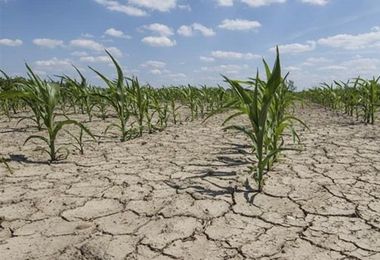 Italia. Un ottobre di siccità da record: non accadeva da 70 anni 